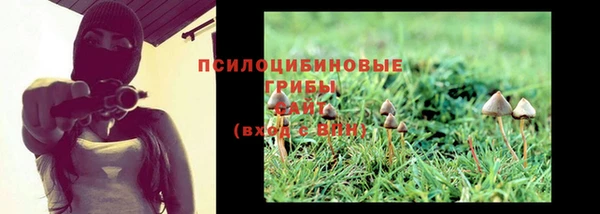 apvp Бугульма