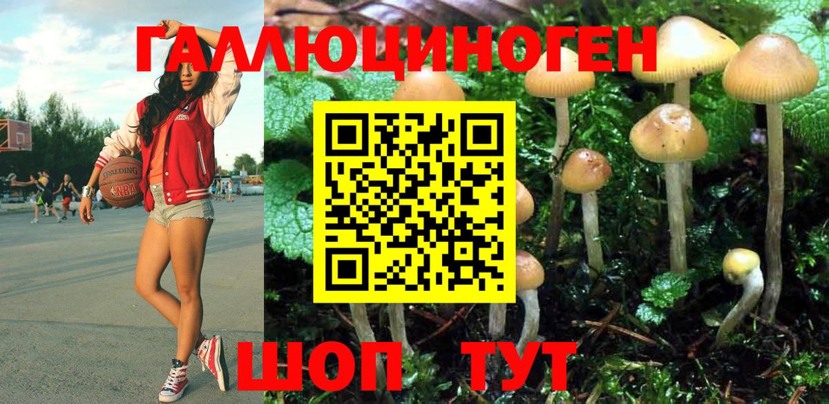 Обь  Псилоцибиновые грибы мицелий  Галлюциногенные грибы мицелий  сколько стоит  Вход с VPN 